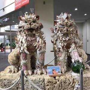 Meet your Posher, Kay